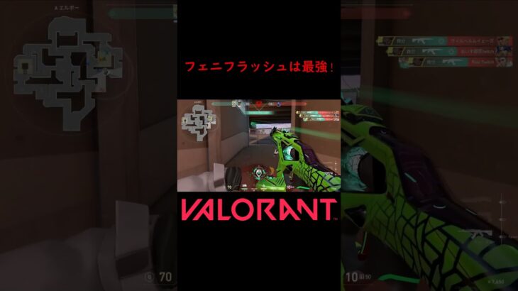 【VALORANT】フェニフラッシュは最強! #shorts #valorant #valorantclips #valorantクリップ #valorantキル集 #ヴァロラント