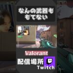 【VALORANT】もはや倒せる武器とはｗ #shots