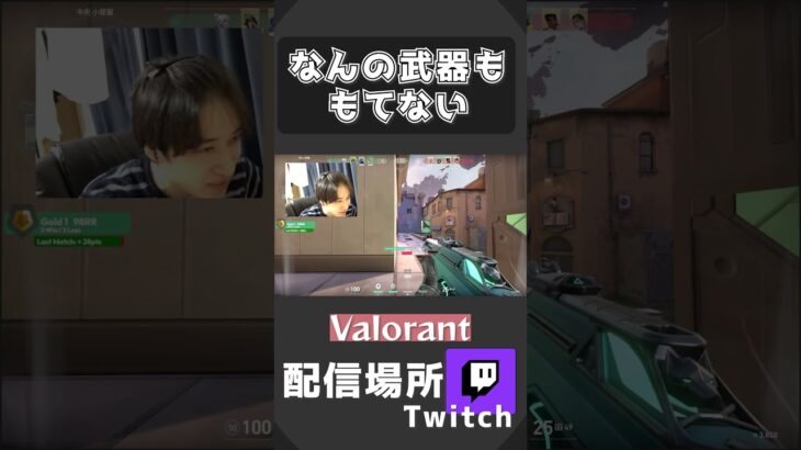 【VALORANT】もはや倒せる武器とはｗ #shots