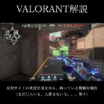 【VALORANT】【解説】ラーク時に考えていること #valorant #shorts