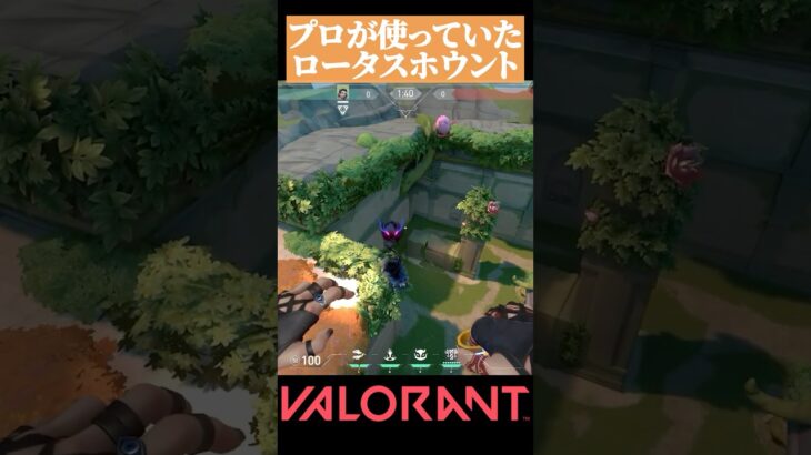 【VALORANT】プロが使う ロータスで役立つフェイドの定点#valorant#ヴァロラント #vct