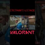 【VALORANT】ビタビタAIMでシェリフACE! #shorts #valorant #valorantclips #valorantクリップ #valorantキル集 #ヴァロラント