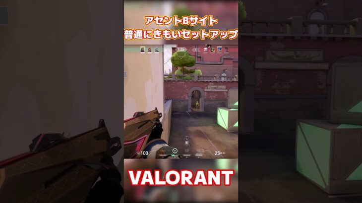 【VALORANT/ヴァロラント】アセントB普通にきもすぎるセットアップ