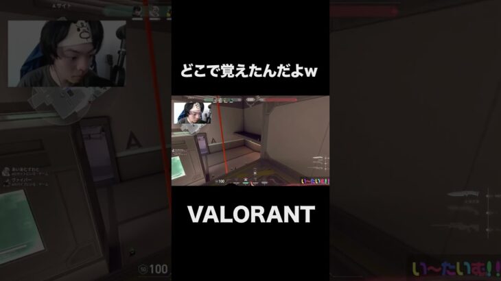 誰が教えたんだよｗｗｗ #shorts  #valorant 　#valorantクリップ #valorantショート #valorantclips #ヴァロラント女子 #ヴァロラント