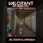 バレるかチャレンジからの #shorts  #valorant #vtuber #valorantクリップ #valorantショート