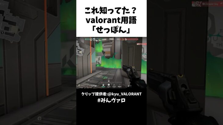 これ知ってた？valorant用語「せっぽん」とは!? #shorts #valorant #valorantclips