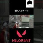 潜入バッキーw #valorant #valorantクリップ #valorantclips #ヴァロラント #shortsvideo #fps  #valorantハイライト