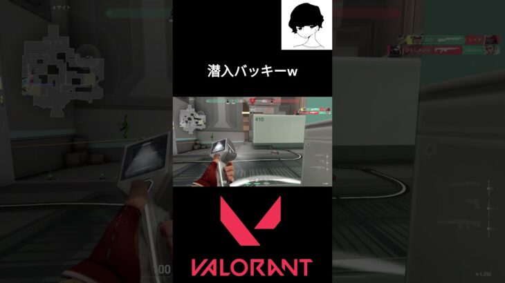 潜入バッキーw #valorant #valorantクリップ #valorantclips #ヴァロラント #shortsvideo #fps  #valorantハイライト