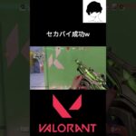 セカバイ成功w #valorant #valorantクリップ #valorantclips #valorant立ち回り #ヴァロラント #shortsvideo #fps