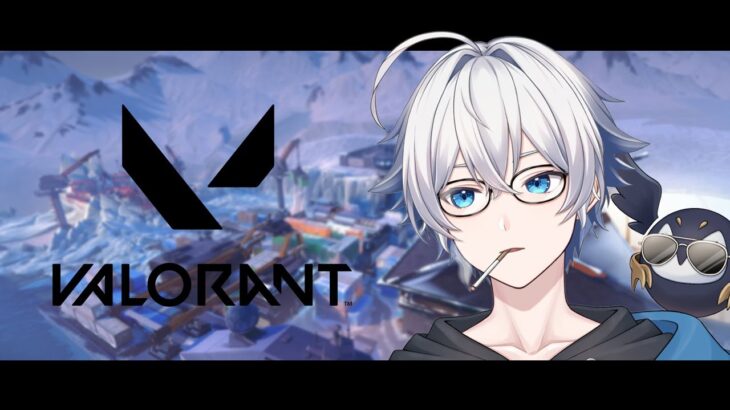 【VALORANT】今日もしっかりランクが上がるといいな【2人組 #新人vtuber  】