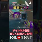 野良も惚れたメタ、最高の『害悪キャラ』！【猫月明音/VALORANT/切り抜き】#shorts #vtuber #解説 #valorant #valorantclips