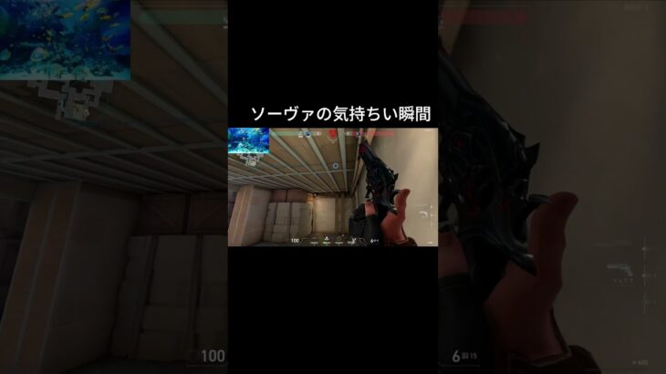 [VALORNT]ソーヴァが絶頂  #varolant  #valorantclips #valorantクリップ #ヴァロラント #valorantgaming #valorantハイライト