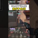 シェリフの連続HSで仲間を逆サイトへ逃す4kill#valorant #valorantclips #ヴァロラント