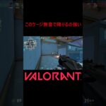 【VALORANT】このケージ無音で降りるの強い #shorts #valorant #valorantclips #valorantクリップ #valorantキル集 #ヴァロラント