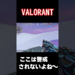 低ランク帯だから刺さるんだよね～#shorts #VALORANT#ヴァロラント#神プレイ