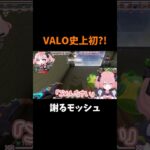 【史上初?!】謝るモッシュピッド #shorts #vtuber #新人vtuber #valorant #valorantclips #ヴァロラント