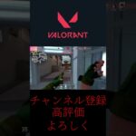 だ、誰 #valorant #ヴァロラント #シルバー帯 #gaming #gameplay #games #twitch #clips #game #shorts #初心者 #funny