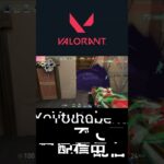 いい感じ #valorant #ヴァロラント #シルバー帯 #gaming #gameplay #games #twitch #clips #game #shorts #初心者 #funny