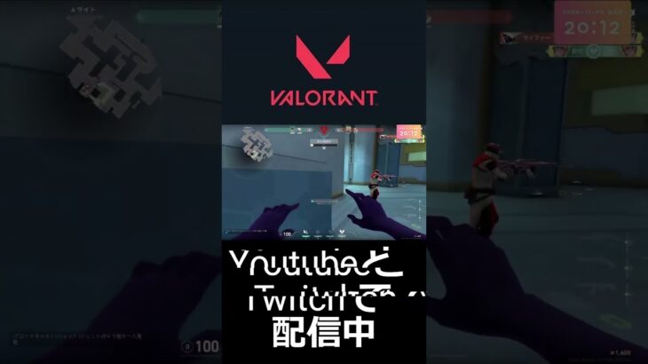 犯罪行為 #valorant #ヴァロラント #シルバー帯 #gaming #gameplay #games #twitch #clips #game #shorts #初心者 #funny