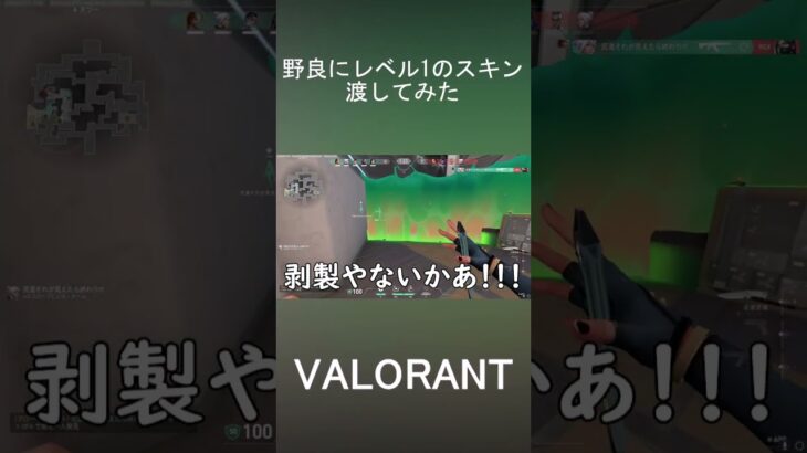 #valorant #valo 野良にレベル1のスキン渡してみた 【VALORANT】