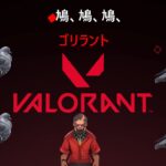 第5回　カスタムゴリラント「VALORANT」