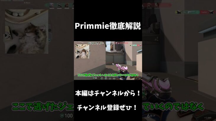 Primmieのエイム解説動画 #primmie #valorant #valorantclips #valorant解説