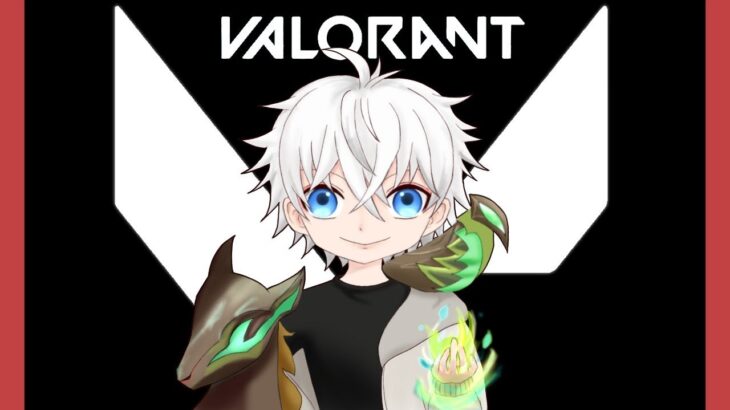 【VALORANT】視聴者参加型！！概要欄必読！ゆるらんと【影雨氷 愛吸】