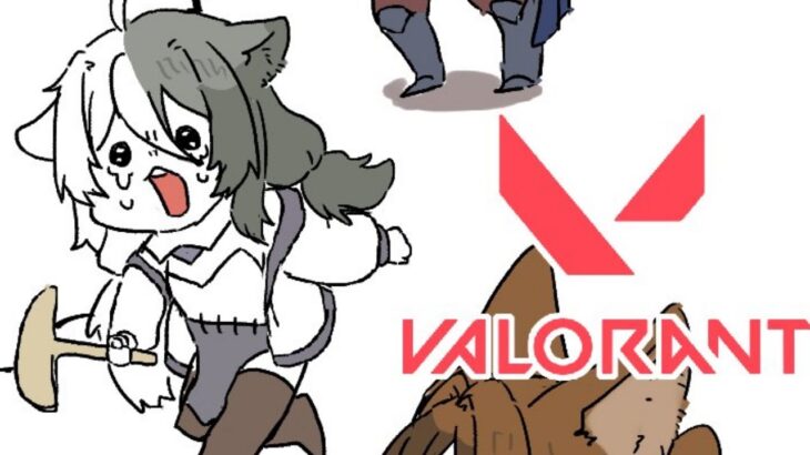 【#視聴者参加型 】新年からスキン買ってモチベを上げるのだ。【VALORANT】