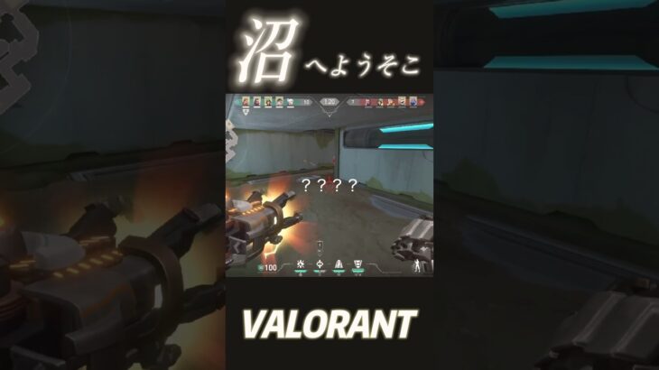 VALORANTのダイボウケン #nintendo 公式 #ヴァロラント #バカ #映す価値なし #人生まだやり直せる #彼女欲しい