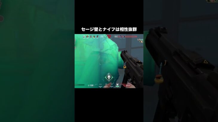 VALORANT セージ壁びっくらヴ #valorantclips #valorant #twitchstreamer #shorts