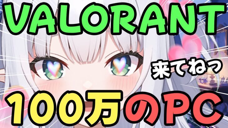 【VALORANT】１００万円のＰＣで遊ぶ・ヴァロラント【水色るみぃ／#vtuber】