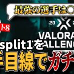 【今日開幕】現役選手がVCJ Split1の結果をガチ予想してみた。【競技オタク】【VALORANT/ヴァロラント】