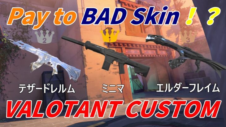 【Valorant】企画カスタム！ Pay to Bad Skin！？  ValorantCustom