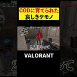 【#Valorant】CODで義務教育を終えた男