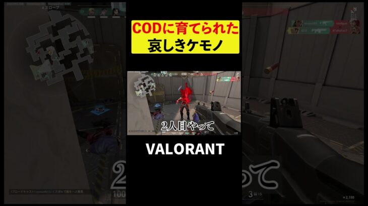 【#Valorant】CODで義務教育を終えた男