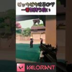 ピッカピカにすると簡単にキルがとれるよ。　　　　　　　　　　　　　 #pcゲーム #valorant #valorantクリップ