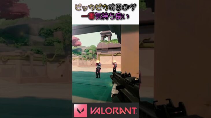 ピッカピカにすると簡単にキルがとれるよ。　　　　　　　　　　　　　 #pcゲーム #valorant #valorantクリップ