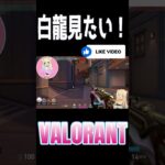 白龍見れたけど、、、泣 #shorts #valorant #ヴァロラント #fps #ゲーム #ゲーム配信 #ゲーム女子 #game #ゲーム実況 #女性実況