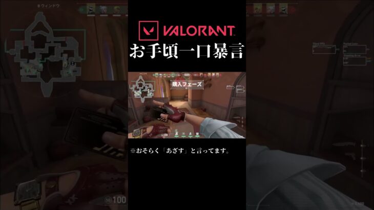 valorantお手軽一口暴言