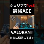 シェリフで1vs5最強クラッチACE#valorant #valorantclips #ヴァロラント #ヴァロラントショート #ヴァロラントハイライト #ぶぅちゃん