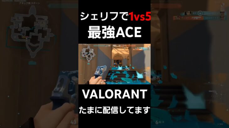 シェリフで1vs5最強クラッチACE#valorant #valorantclips #ヴァロラント #ヴァロラントショート #ヴァロラントハイライト #ぶぅちゃん