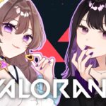 【VALORANT】コンペで爆盛してこ～🐰？【ｗ/さとうさん】