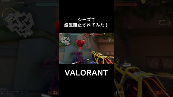 【VALORANT】どちらにしろ間に合わないの悲し。 #shorts  #valorant  #valorantclips