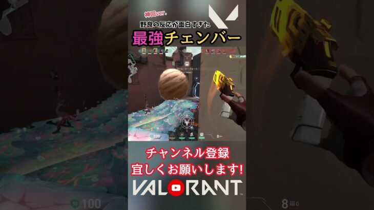 野良の反応が面白すぎる『最強チェンバー』！【猫月明音/VALORANT/切り抜き】#shorts #vtuber #解説 #valorant #valorantclips