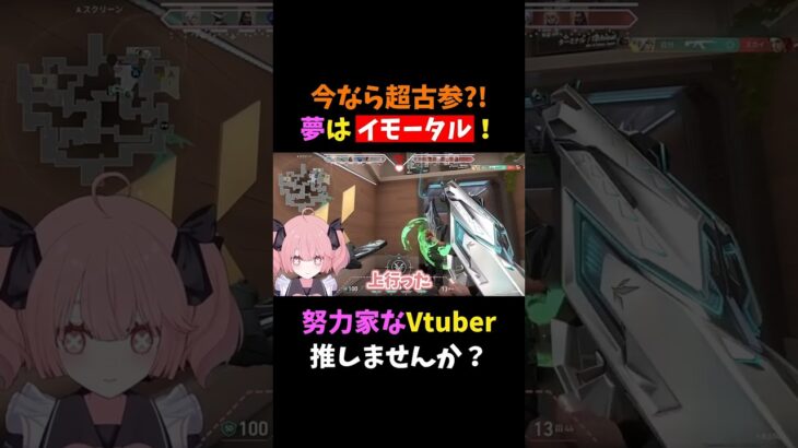 【古参募集】努力家なVtuber推しませんか？ #shorts #vtuber #新人vtuber #valorant #valorantclips #ヴァロラント #valorant女子 #切り抜き