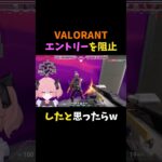 【あるある】エントリー阻止したと思ったらw #shorts #vtuber #新人vtuber #valorant #valorantclips #ヴァロラント #valorant女子 #切り抜き