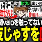 約1年間VALORANTに触れてない親友・”白眼鏡”ことじゃすぱーを庇うrion【VALORANT/ヴァロラント】