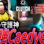 【破壊】ほぼ毎回MVP。Riddle鉄壁の守護神、最強Caedye集【VCJ 2024 – 2025 Split1:RID Caedye】