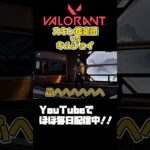 【#VALORANT 】癖強スキン！#valorant #ヴァロラント #valorantclips #shorts #参加型 #fps #vtuber準備中