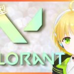 【#VALORANT 】参加型 ✨初見さん大歓迎✨ 新キャラ来たらしいねぇ　[#新人vtuber ]